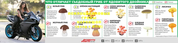 молекула духа Магас