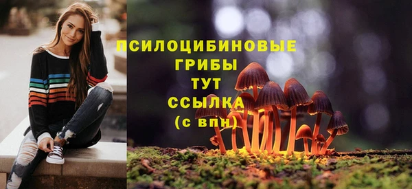 молекула духа Магас